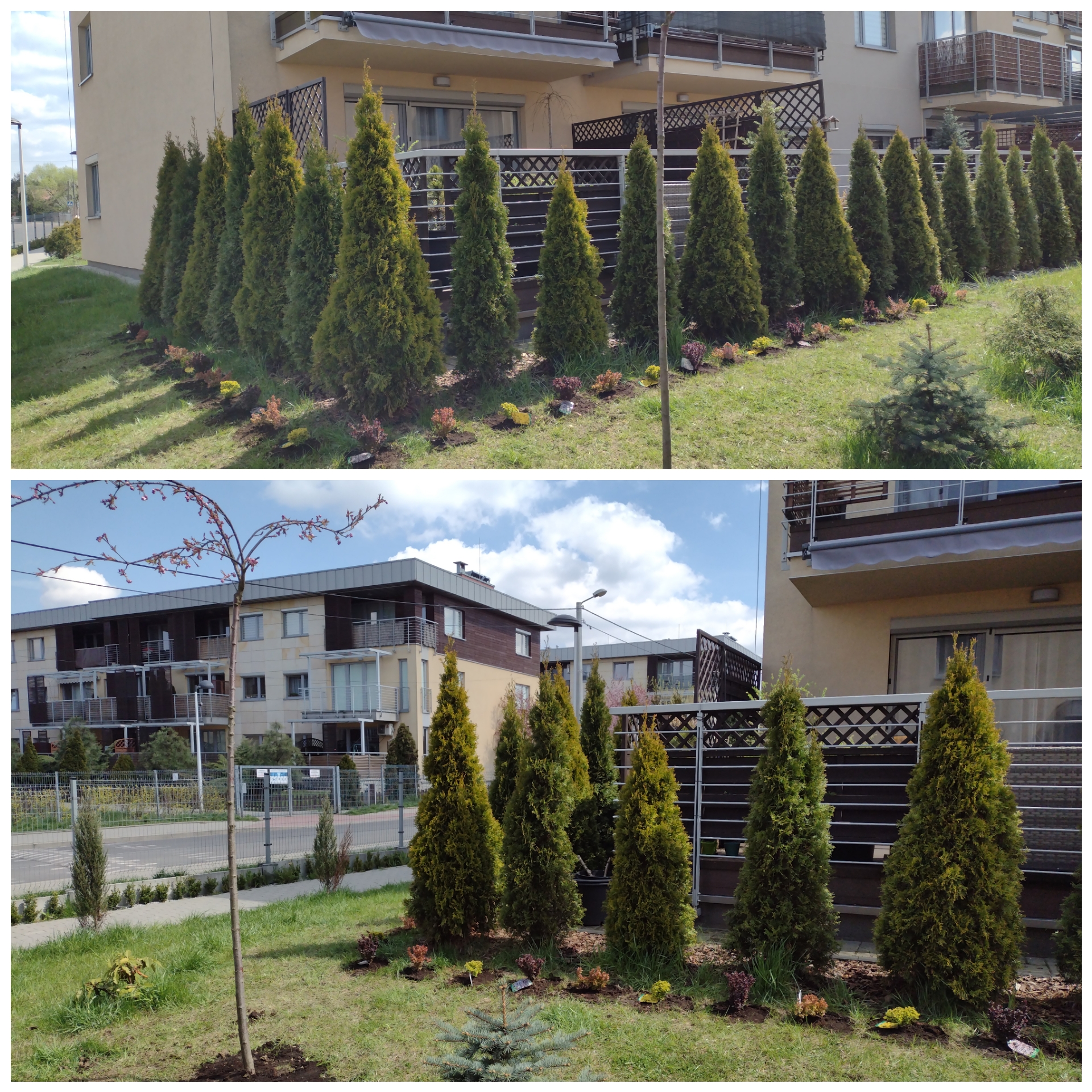 Polish_20210430_150829333